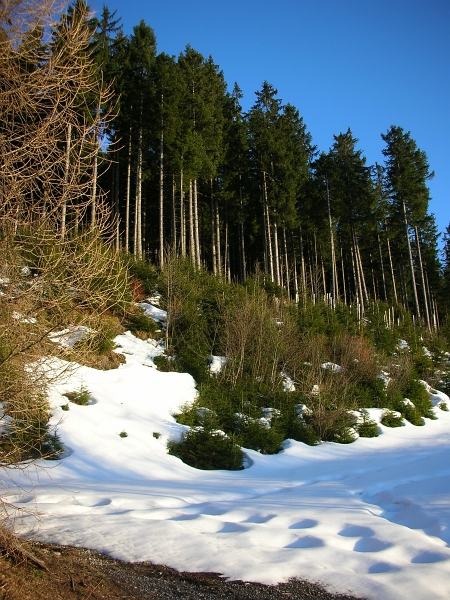 Schneefleck vor Gafadura links Weg 06_04_2010 (70).jpg